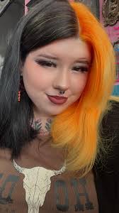 Introduction to new pet rats and experiences with pet rat ownership