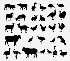 Livestock Silhouettes Animal Silhouette Fairy Silhouette Livestock