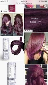 Ion Radiant Raspberry Ion Hair Colors Chrome Hair Color Hair Dye Color Chart