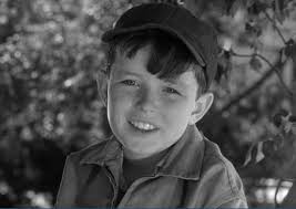 Beaver Cleaver Was Lost in His Trespasses and Sins