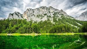 If you're looking for the best scenery wallpaper then wallpapertag is the place to be. Hd Wallpaper Gruner See Wilderness Green Lake Mount Scenery Mountain Lake Wallpaper Flare