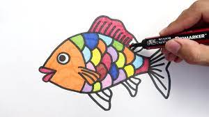 Mewarnai gambar ikan paus orca layaknya seperti manusia ikan paus juga mampu bertahan hidup bernafas dengan alat bantu paru. Cara Menggambar Dan Mewarnai Ikan Mas Hias Youtube