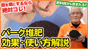 ４月に覚えたい肥料の基本！初心者必見！土作りに大切なバーク堆肥の特徴を超シンプルに解説！庭を開拓して夏野菜の栽培前に土壌改善！【土壌改良】【元肥】【施肥】  - YouTube さん