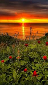 Post Anything From Anywhere Customize Everything And Find And Follow What You Love Create Your Own Tum Beautiful Nature Nature Beautiful Nature Wallpaper
