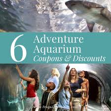 Check spelling or type a new query. 6 Ways To Save On Adventure Aquarium Tickets Frugal Lancaster