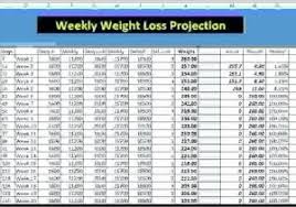 Weight Loss Excel Spreadsheet And Weight Loss Challenge