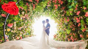 Next page › 1,383 free images of wedding invitation. Wedding Wallpaper 64 Pictures