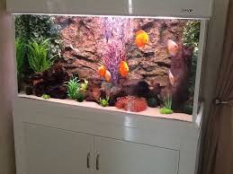 Sean S 120cm Boyu Tank Http Www Allpondsolutions Co Uk Aquarium 1 Fish Tanks Cabinet Aquarium Fish Tank Fish Tank Fish Tank Cabinets Aquarium Decorations