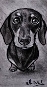 Schizzo Disegno Ritratto Cane Bassotto Matita Su Cartoncino 19x10 5 Cm Disegnato A Mano Il Tenero E Intenso Dachshund Drawing Animal Drawings Dachshund Sketch