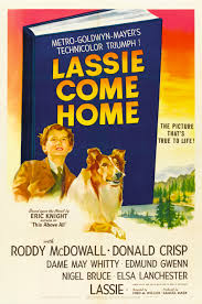 0 127 m 2020 hd. Lassie Come Home Wikipedia