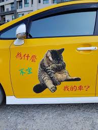 愛貓司機開著 貓咪計程車 救援浪貓暖心告白 為了救貓我可以少賺一點 寵伴partners cute pictures pics cute