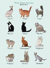 25 Perfectly Fitting Wine Names For Cats Wine Folly Cat Wine Wine Names Wine Folly