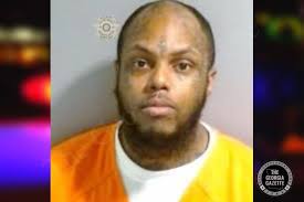 Darrell Palmer — Fulton County Jail Bookings