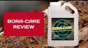 Bora Care Termite Treatment Review Updated 2021 Does It Work