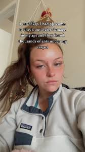 What to Do If Ants Are Coming Out The Carpet