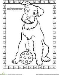 You can use our amazing online tool to color and edit the following schnauzer coloring pages. 160 Schnauzers Ideas Schnauzer Schnauzer Art Miniature Schnauzer