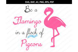 Download Flamingo Svg Flamingo Clipart Flamingo Dxf Eps Pdf Ai By Paper Amaze Thehungryjpeg Com