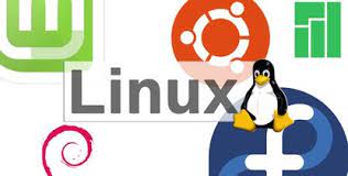 Laufwerke und partitionen und ihr speicherverbrauch anzeigen: Linux Datei Verzeichnis Loschen Delete File So Geht S