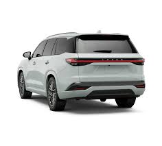 Image result for Wind Chill 2025 TX