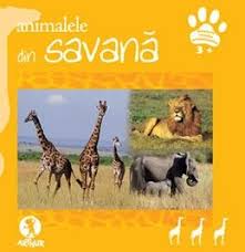 Animalele Din Savană Carte Editura Arthur Animals Giraffe Sins