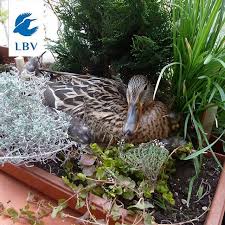 Pin On Instagram Feed