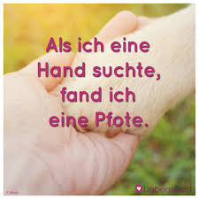 Sprüche Für Tierliebhaber