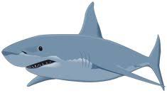 Shark Png Shark Images Clip Art Shark Drawing
