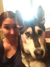 Adopting a black labrador dog