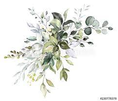 Watercolor Floral Arrangements With Leaves Herbs Herbal Illustration Botanic Composition For Wedding Greet Cornici Dipinte Sfondi Floreali Dipingere Fiori