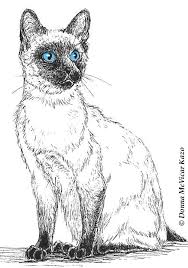 Black And White Siamese Cat Drawing Siamese Cat Line Art Print Cat Art Cat Illustration Cat Pen