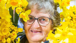 Longer, stronger daffodils a product of the unpicked, says volunteer  buncher