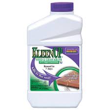 Serenade ® aso fungicide is a powerful tool designed to protect against the effects of soil and foliar bacterial and fungal diseases. Serenade Garden Disease Control Concentrate 32oz Traditional Gardening Accessories By Great Garden Supply Houzz
