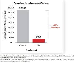 We did not find results for: Pre Harvest Reduction Of Foodborne Pathogens In Food Animals Engormix