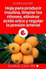 Pin En Medicinales