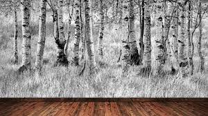 Auch die fototapete schlafzimmer ist mittlerweile ein fester bestandteil der inneneinrichtung geworden. Fototapete Anbringen Motive Vieles Mehr Schoner Wohnen