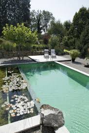 21 Best Swimming Pool Designs Beautiful Cool And Modern Natural Swimming Pools Natural Swimming Pool Swimming Pools Backyard