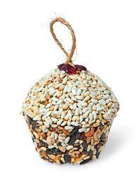 Cupcake Bird Seed Ornaments Songbird Tweets Gardeners Com Bird Seed Ornaments Bird Food Ornaments Bird Seed