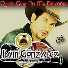 Play Ojala Que No Me Extrañes by Irvin González