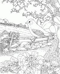 Find printable alphabet letter patterns, blank chore charts, and coloring pages for kids. Adult Coloring Pages Outdoors Coloring Home