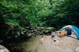 Out in nature, you have the opportunity to do things you might not normally have access to, like hiking or kayaking. Things To Do While Camping Thrillist