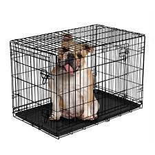 Vibrant Life Double Door Folding Dog Crate With Divider Large 36 Walmart Com