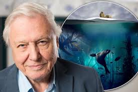 David attenborough narrates a natural history of the oceans. Sir David Attenborough S Blue Planet Dubbed Most Influential Tv Show Ever Irish Mirror Online