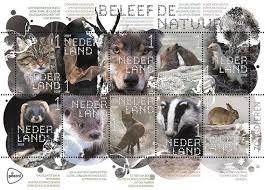 Klatergoud Eenheidsworst Beleef De Natuur Zoogdieren Zoogdieren Natuur Postzegels