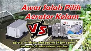 Alat Perlengkapan Kolam Ikan Nila Youtube
