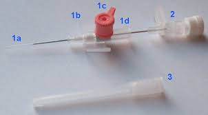Image result for Peripheral IV Access