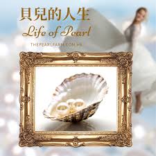 貝兒的人生Life of Pearl – 福井真珠The Pearl Farm
