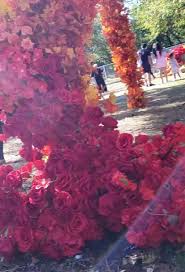 Maybe you would like to learn more about one of these? The Floral Escape Floral Park 2021 All You Need To Know Before You Go Tours Tickets With Photos Tripadvisor