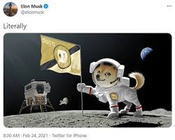 He also posted a meme from the disney movie the lion king, showing the monkey shaman rafiki holding up. Elon Musk Says Dogecoin Is Going To The Moon In Latest Tweets Touting The Cryptocurrency Readsector
