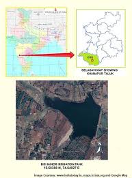 Image result for Cyperus trigonellus