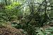 Golden Oak Forest Holidays Forest Of Dean